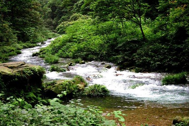 九龙坡：非遗闹春年味浓