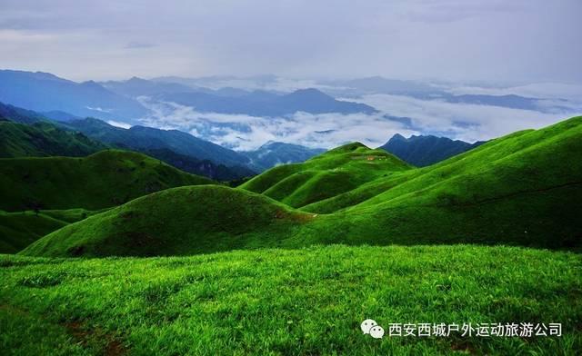 集装箱货运船